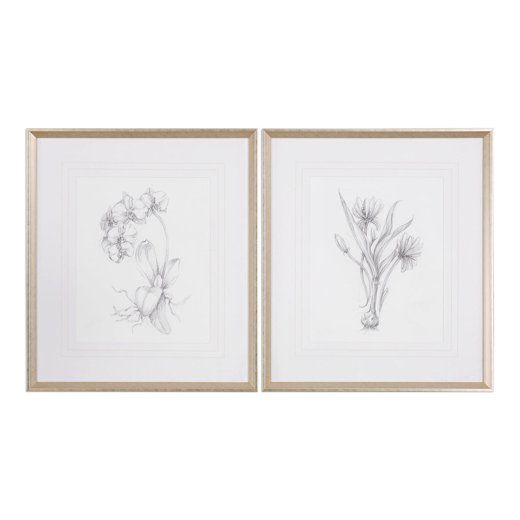 Botanical Sketches Framed Prints Set of 2