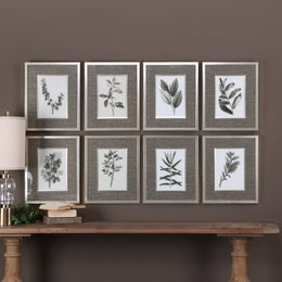 Sepia Gray Leaves Prints Set of 8