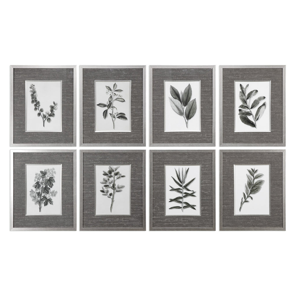 Sepia Gray Leaves Prints Set of 8