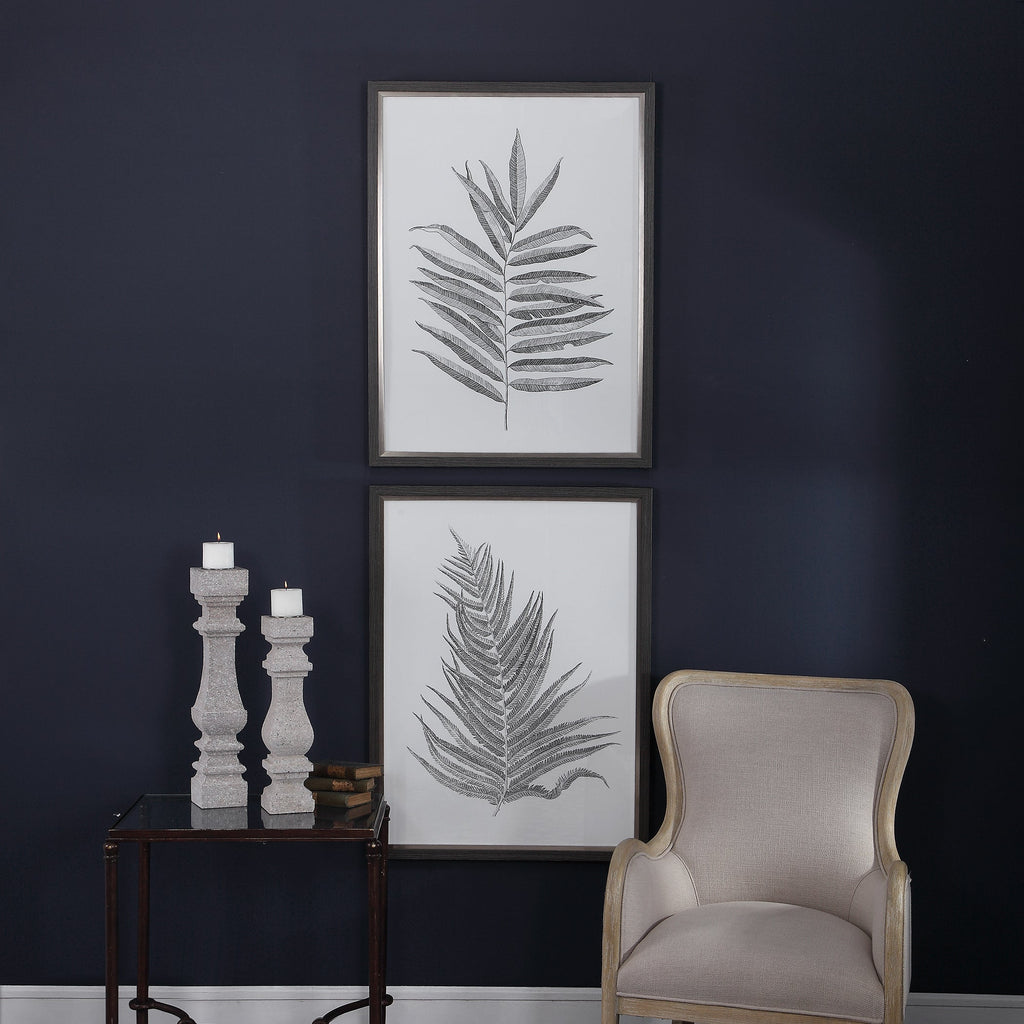 Silver Ferns Framed Prints Set/2