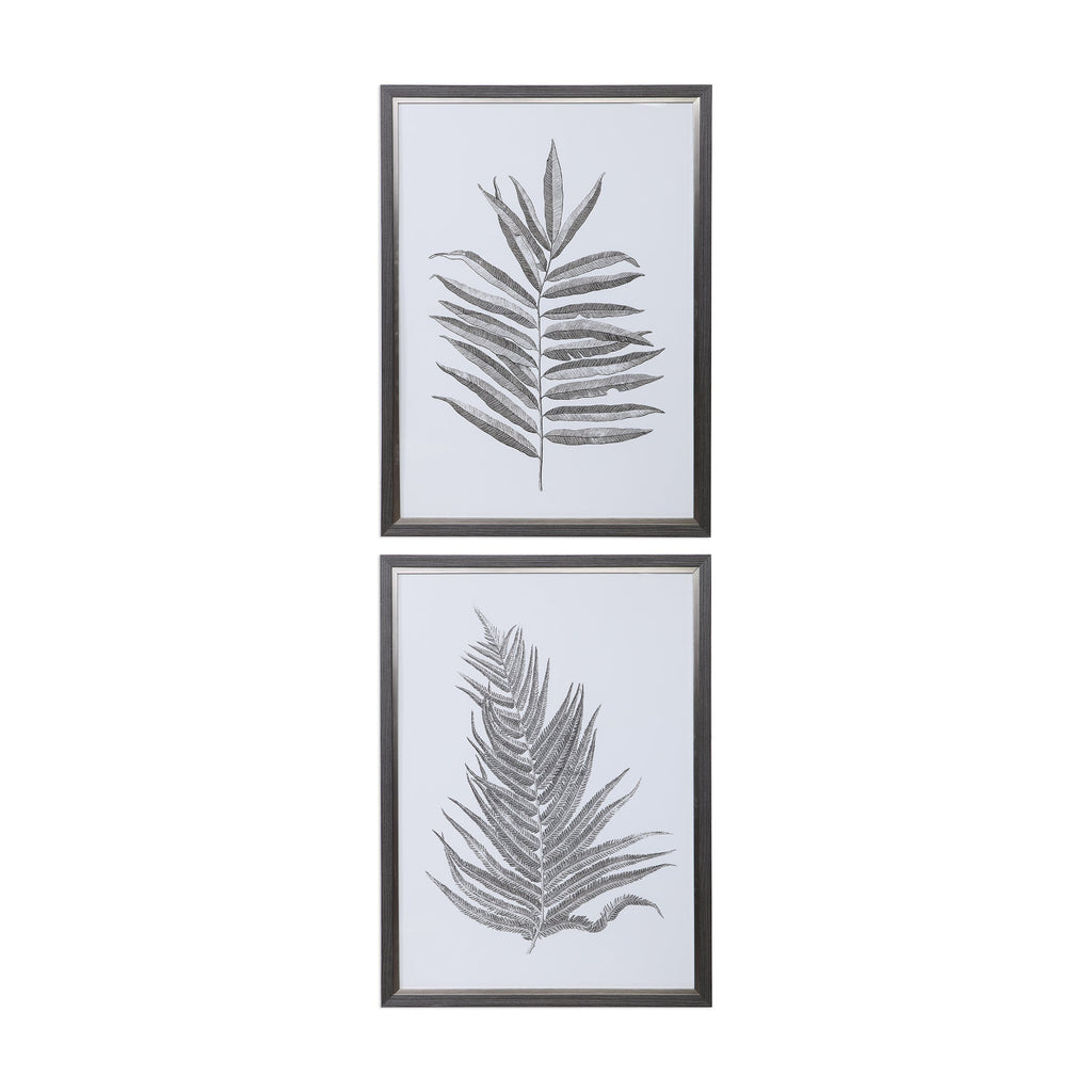 Silver Ferns Framed Prints Set/2