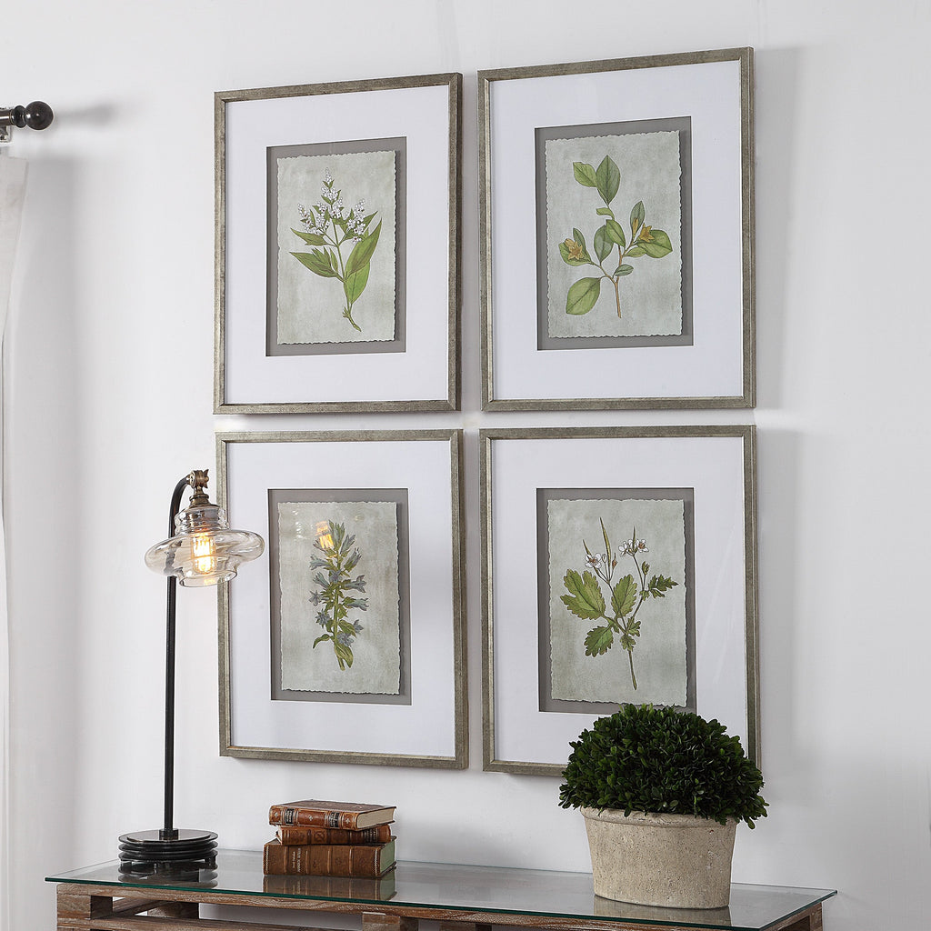 Stem Study Framed Prints Set/4