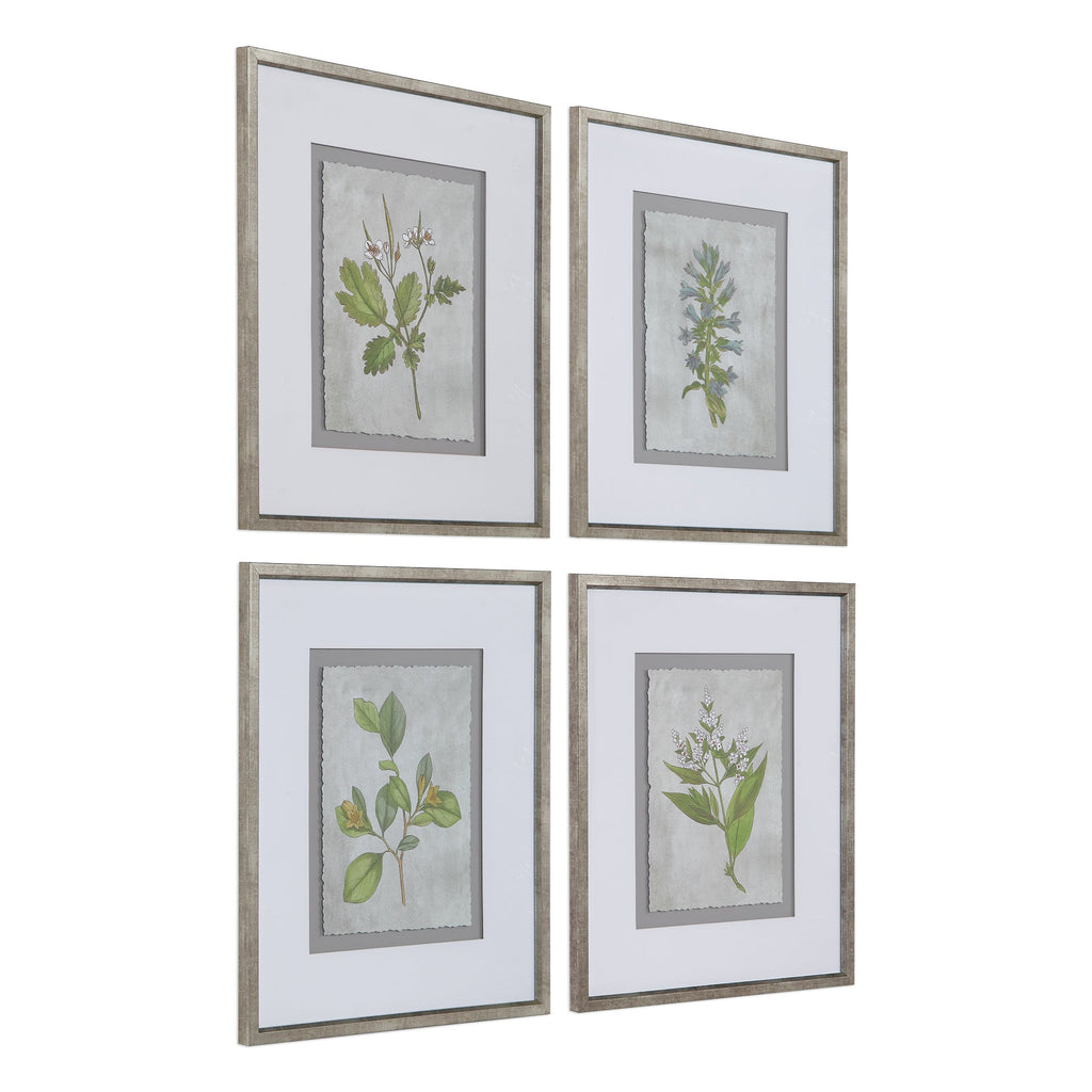 Stem Study Framed Prints Set/4