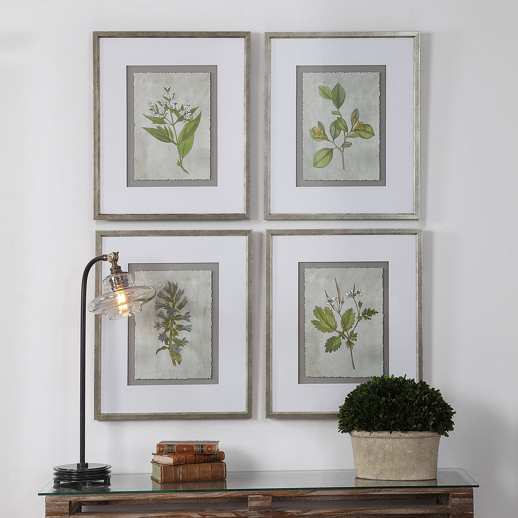 Stem Study Framed Prints Set/4