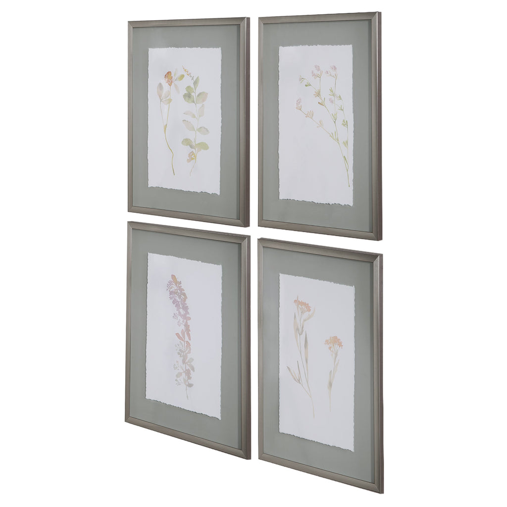 Flourish Framed Botanical Prints Set of 4