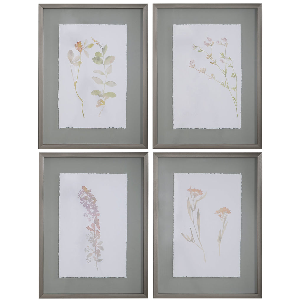 Flourish Framed Botanical Prints Set of 4