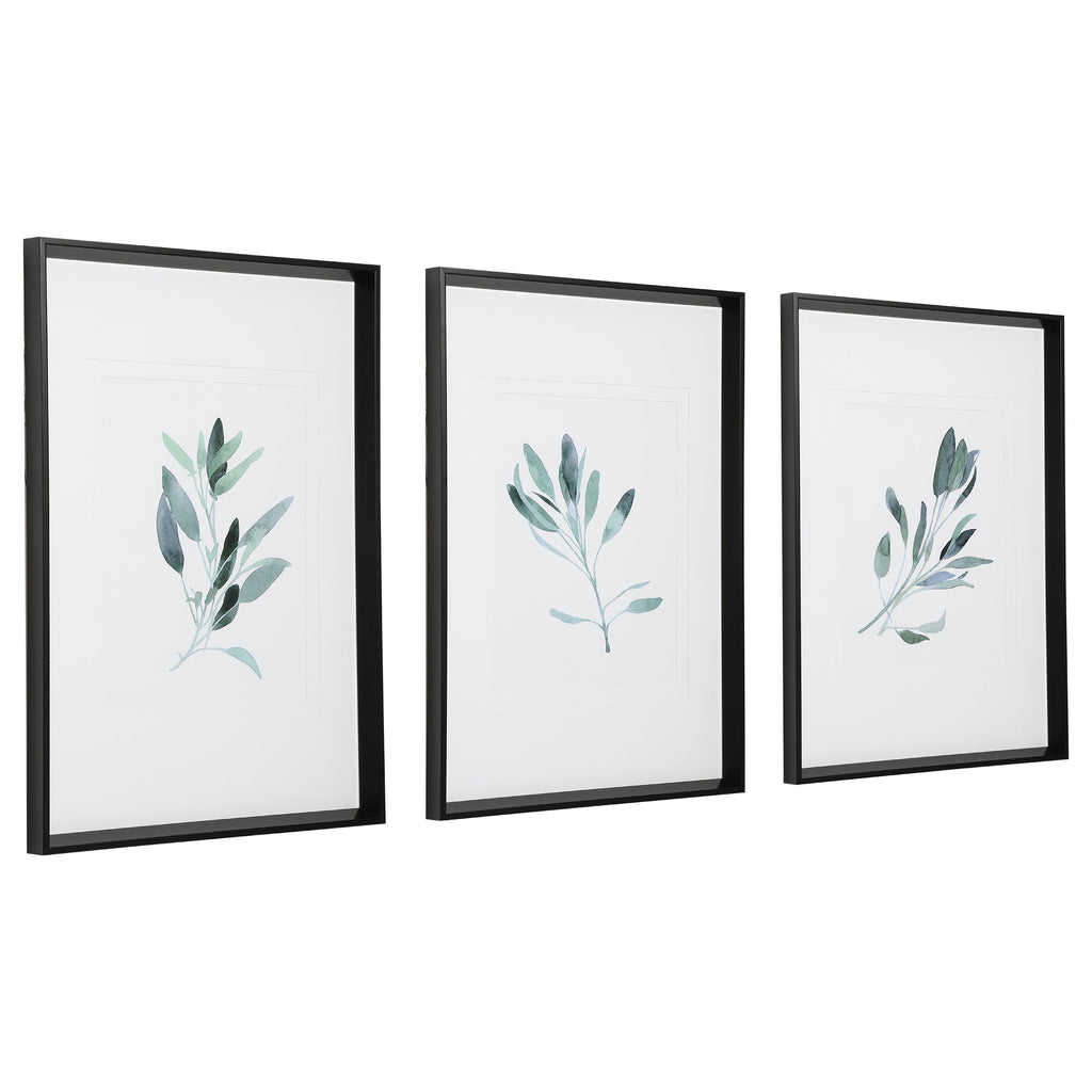 Simple Sage Watercolor Prints, Set of 3