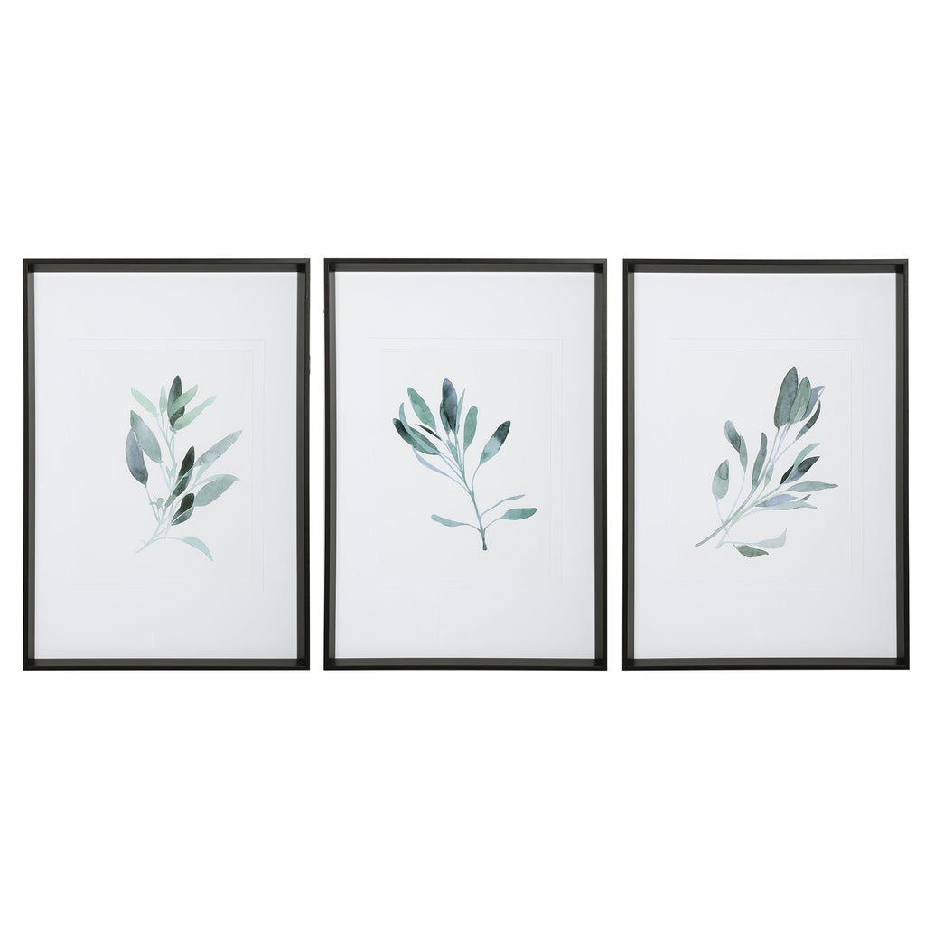 Simple Sage Watercolor Prints, Set of 3