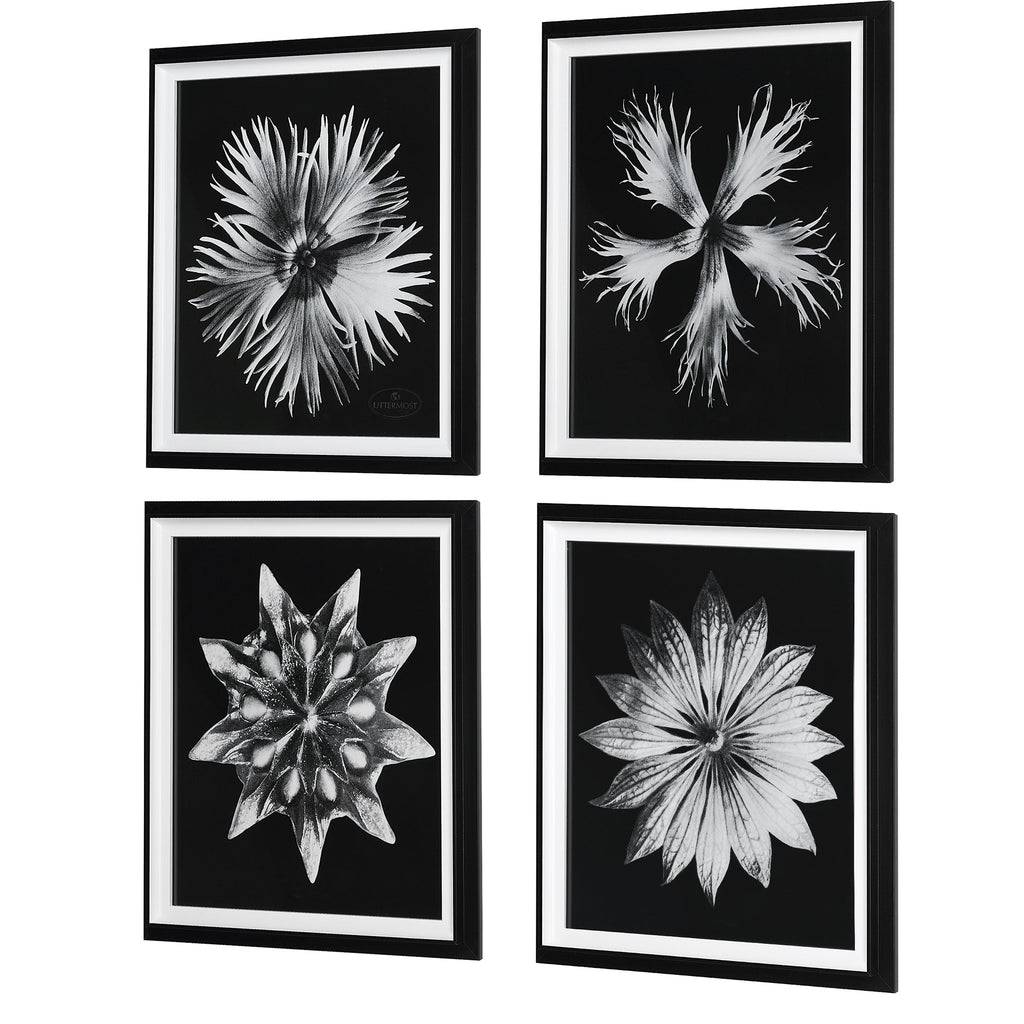 Contemporary Floret Framed Prints, Set of 4