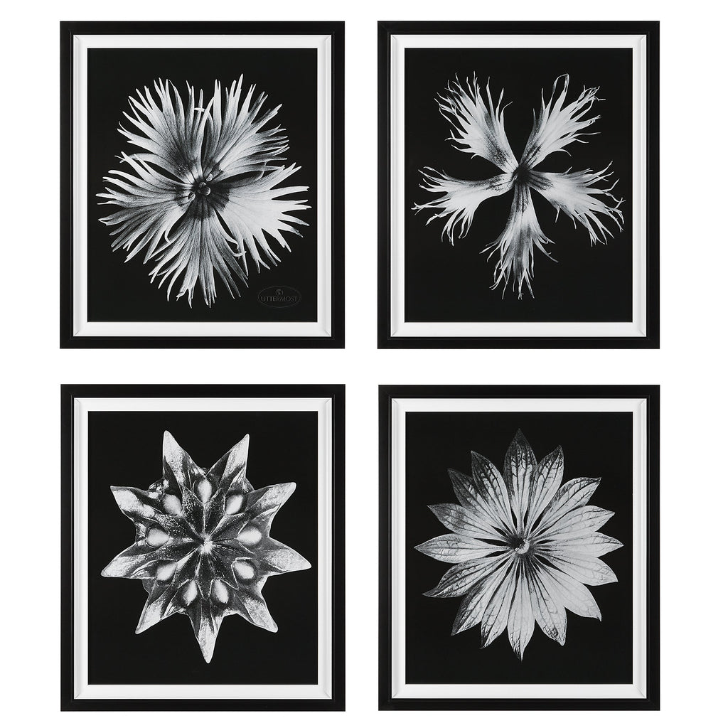 Contemporary Floret Framed Prints, Set of 4