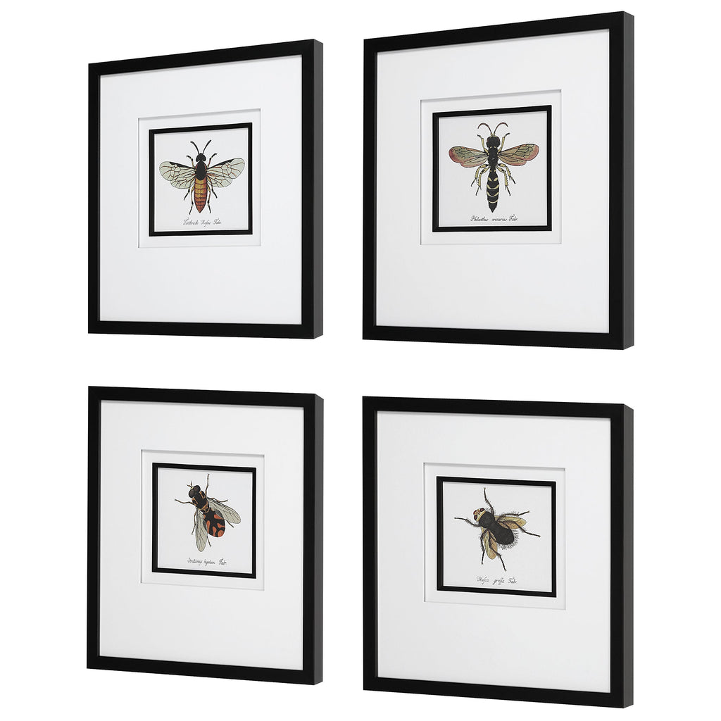 Anthophila Framed Prints, Set of 4