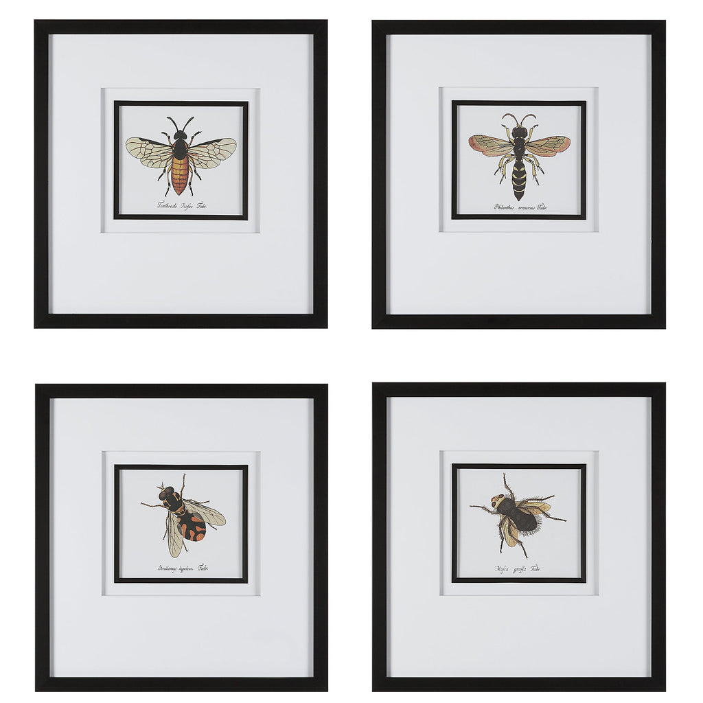 Anthophila Framed Prints, Set of 4