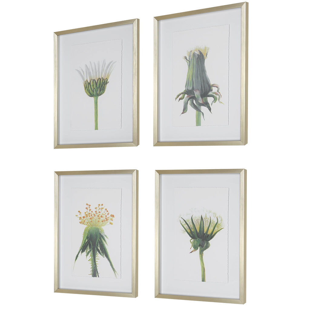 Wildflowers Gold Framed Prints, Set of 4