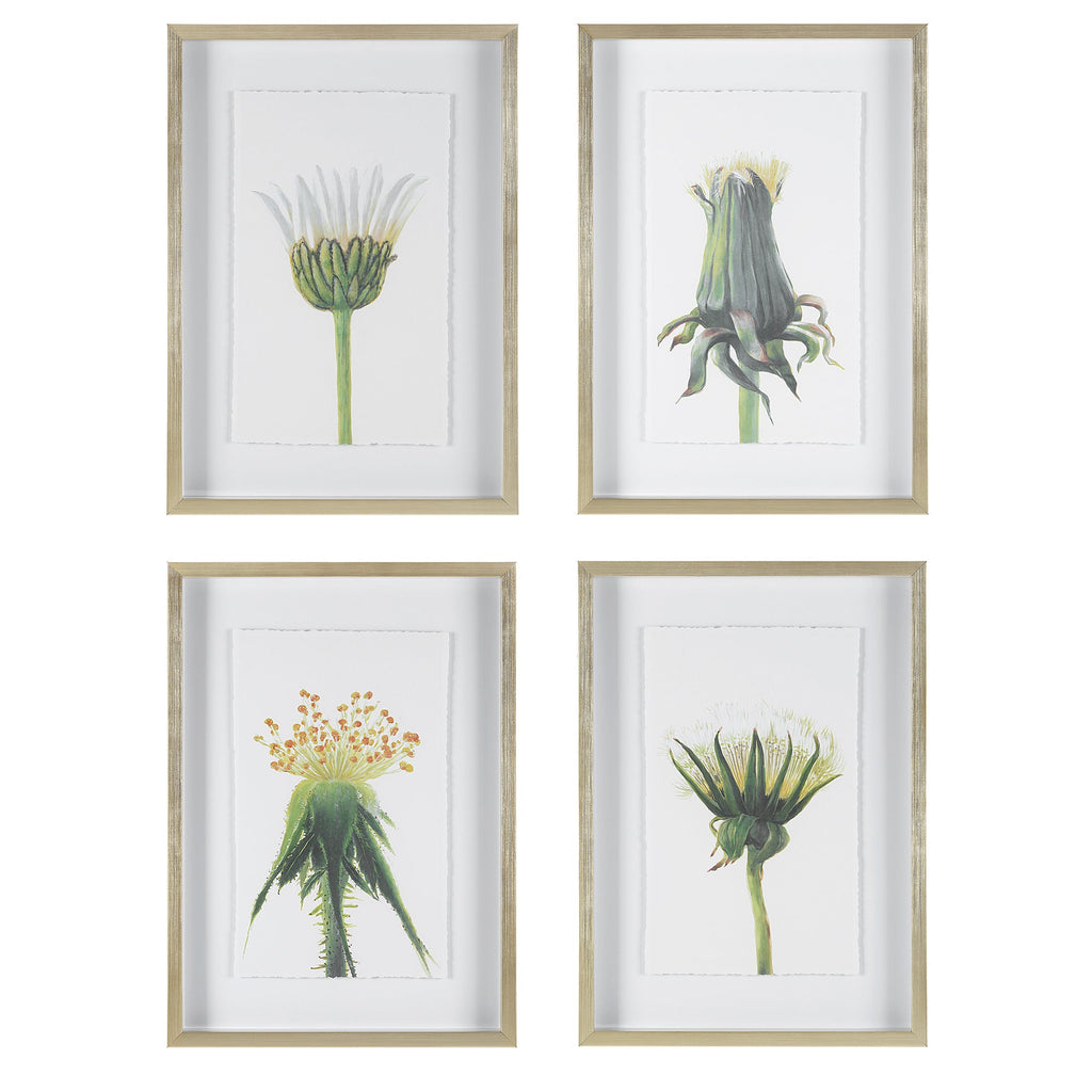 Wildflowers Gold Framed Prints, Set of 4