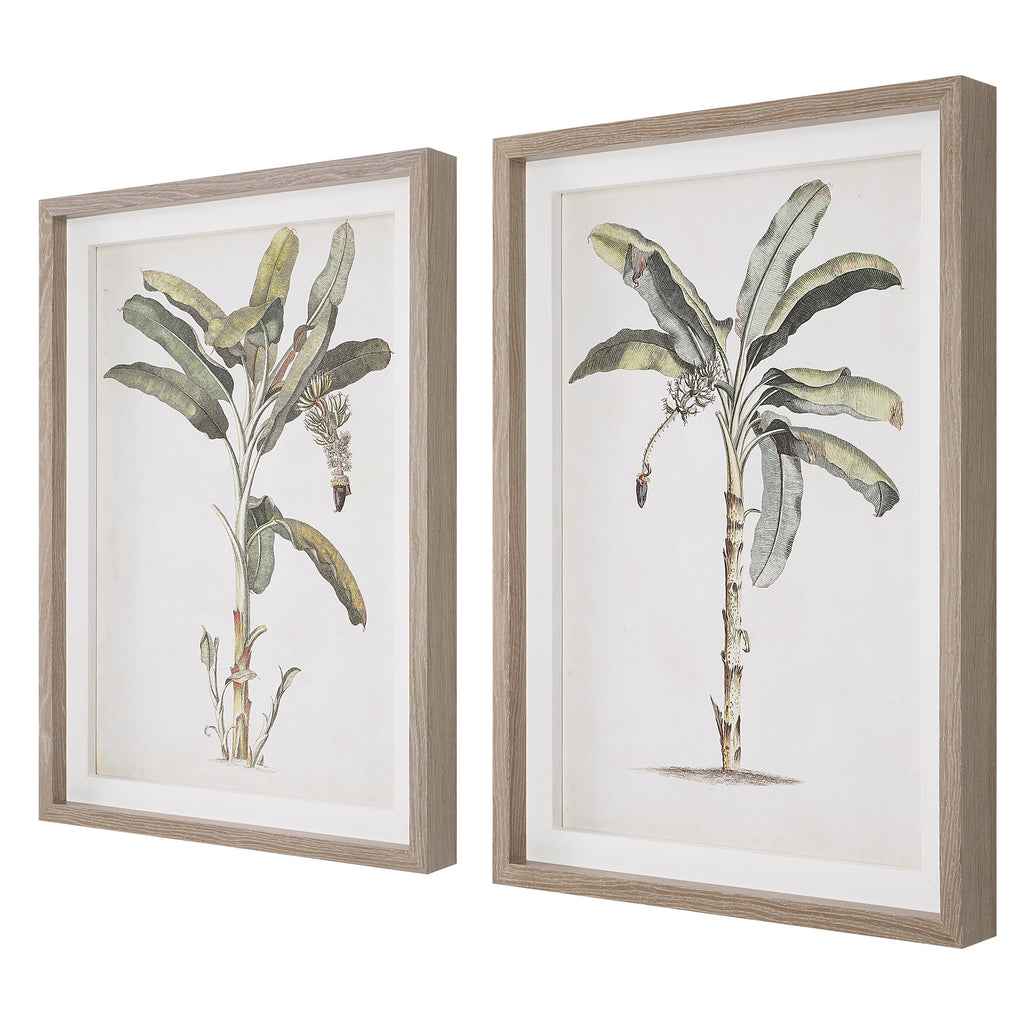 Banana Palm Framed Prints,Set of 2