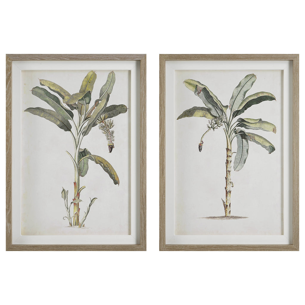 Banana Palm Framed Prints,Set of 2