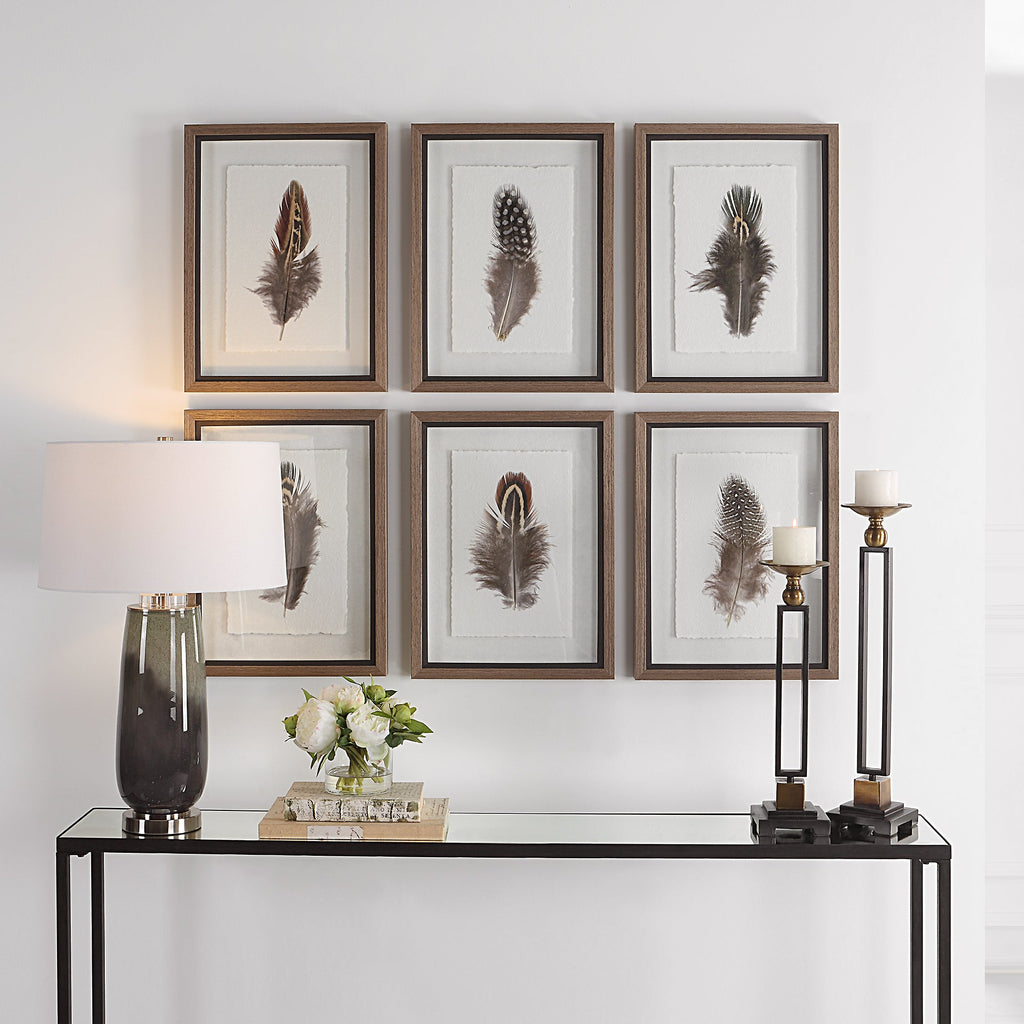 Birds Of A Feather Framed Prints,Set of 6