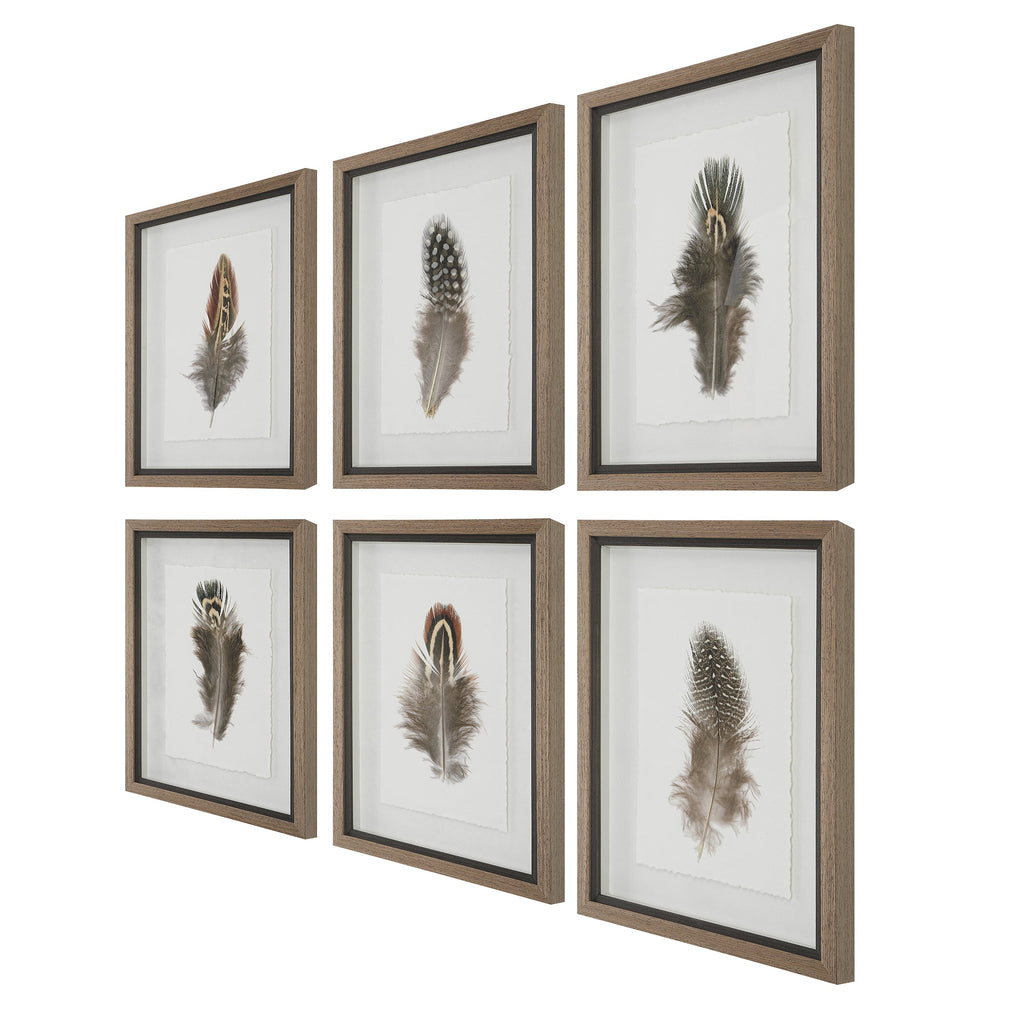 Birds Of A Feather Framed Prints,Set of 6