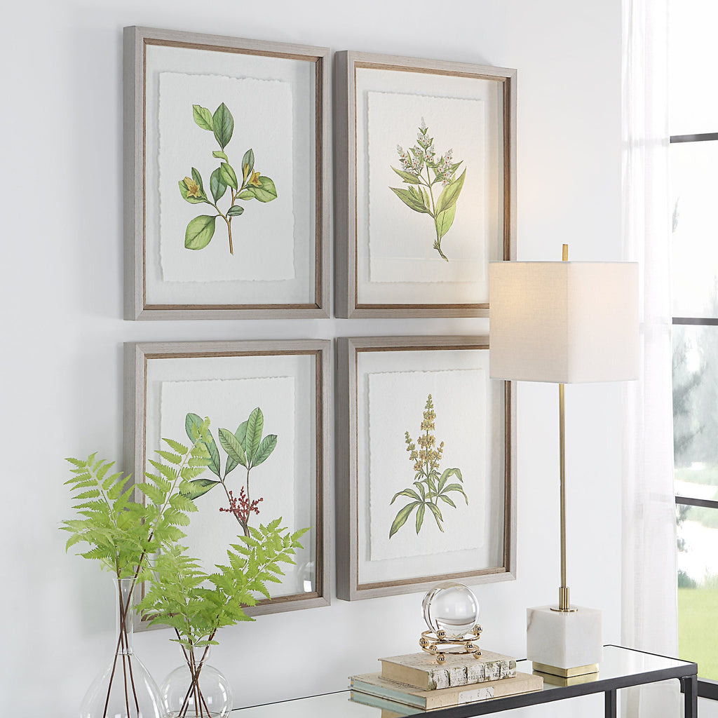 Wildflower Study Framed Prints, Set of 4