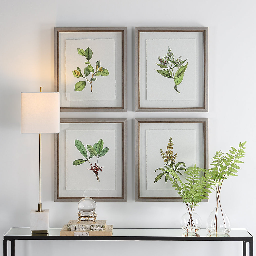 Wildflower Study Framed Prints, Set of 4