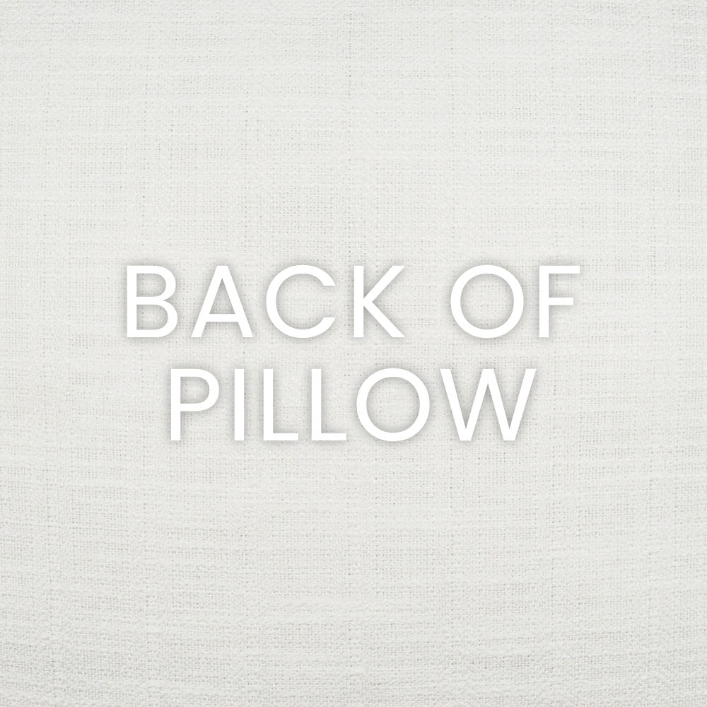 Embolden Outdoor Pillow