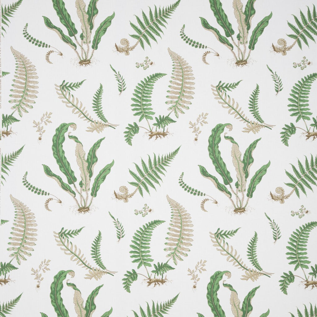 Ferns Print - Snow - B0860.1.0