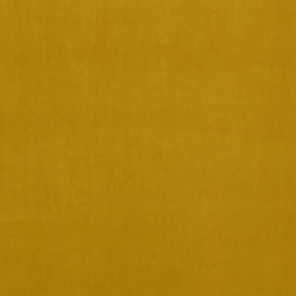 Riviera Velvet - Ochre