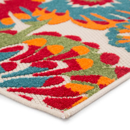 Jaipur Living Balfour Indoor/ Outdoor Floral Red/ Multicolor Area Rug