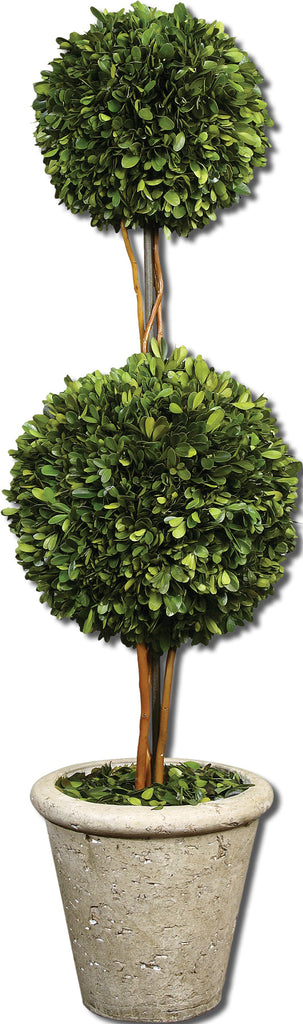 Two Sphere Topiary Preserved Boxwood