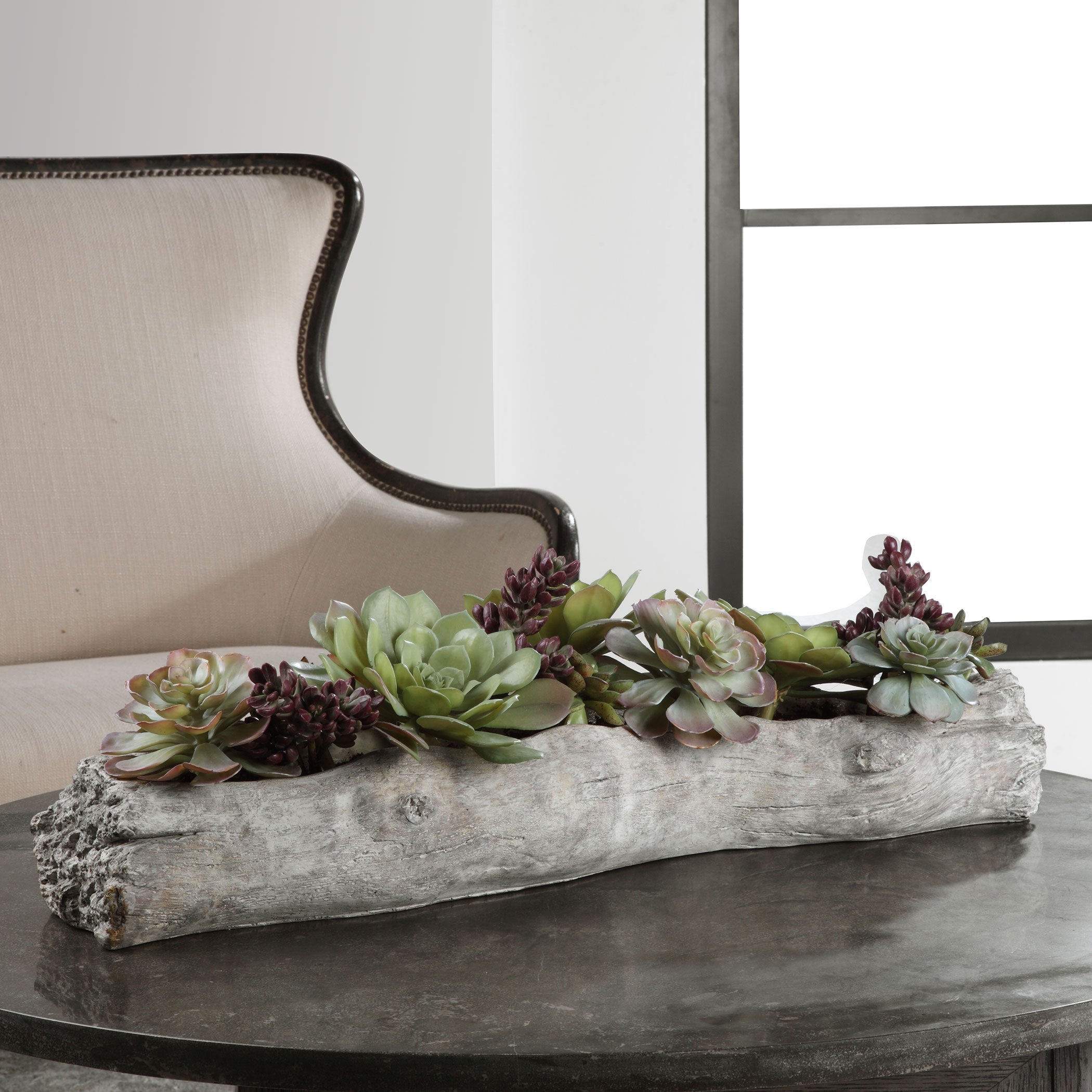 lush succulent Charita Succulents