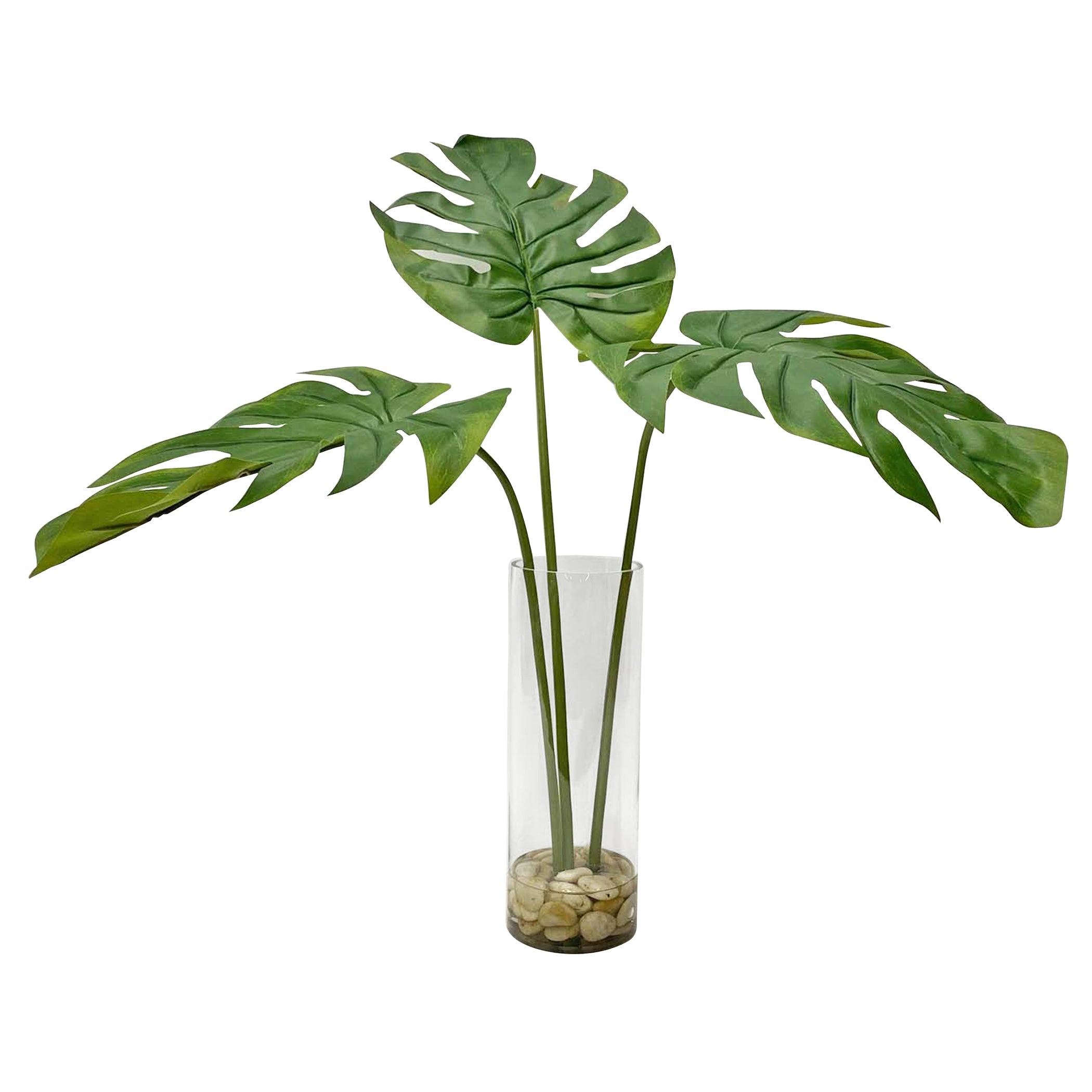 split leaf palm plant Uttermost-60181-Ibero