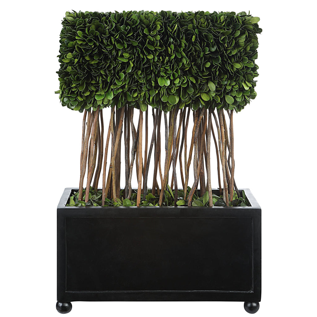 Preserved Boxwood Rectangular Topiary