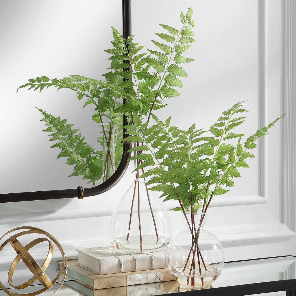 Country Ferns, Set of 2