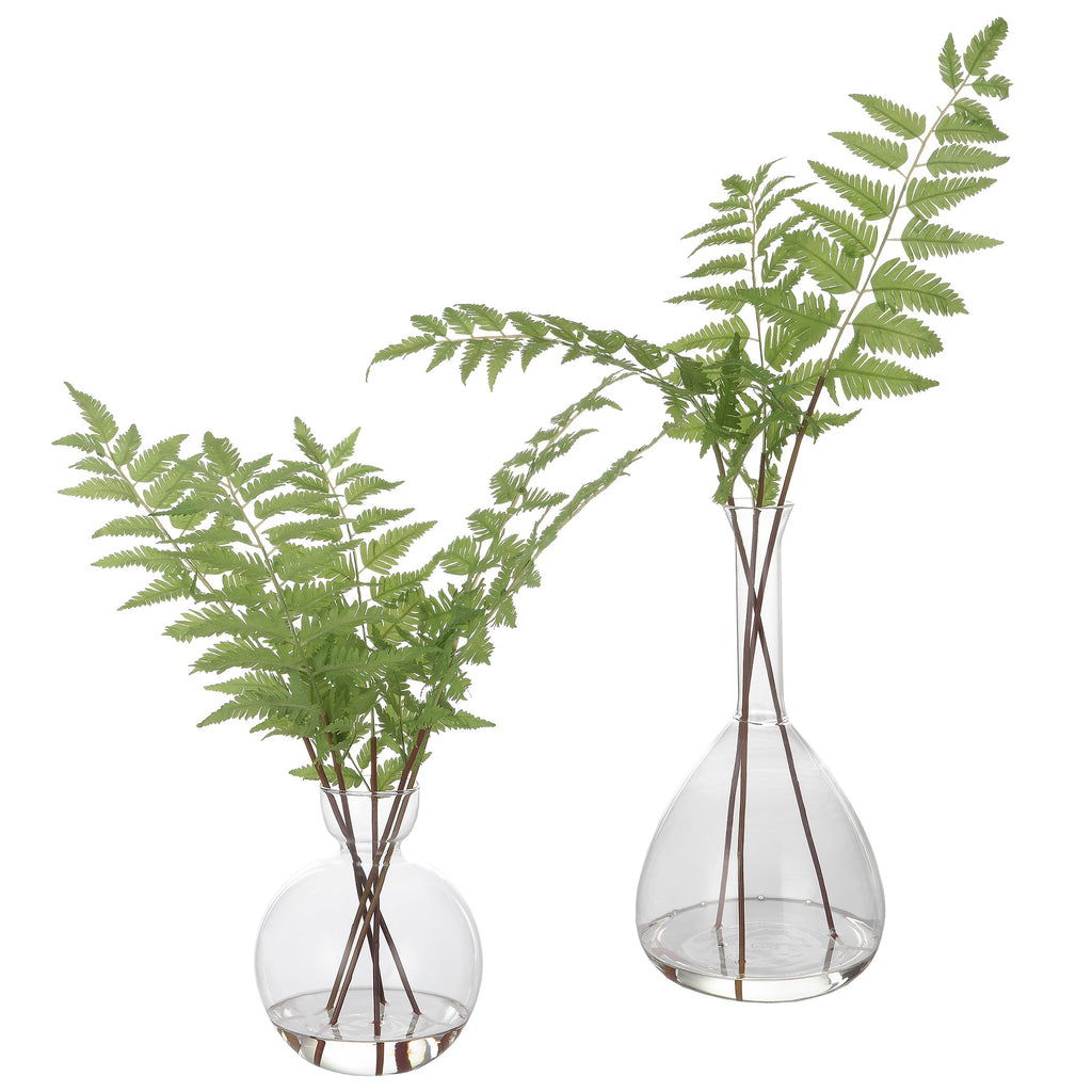 Country Ferns, Set of 2