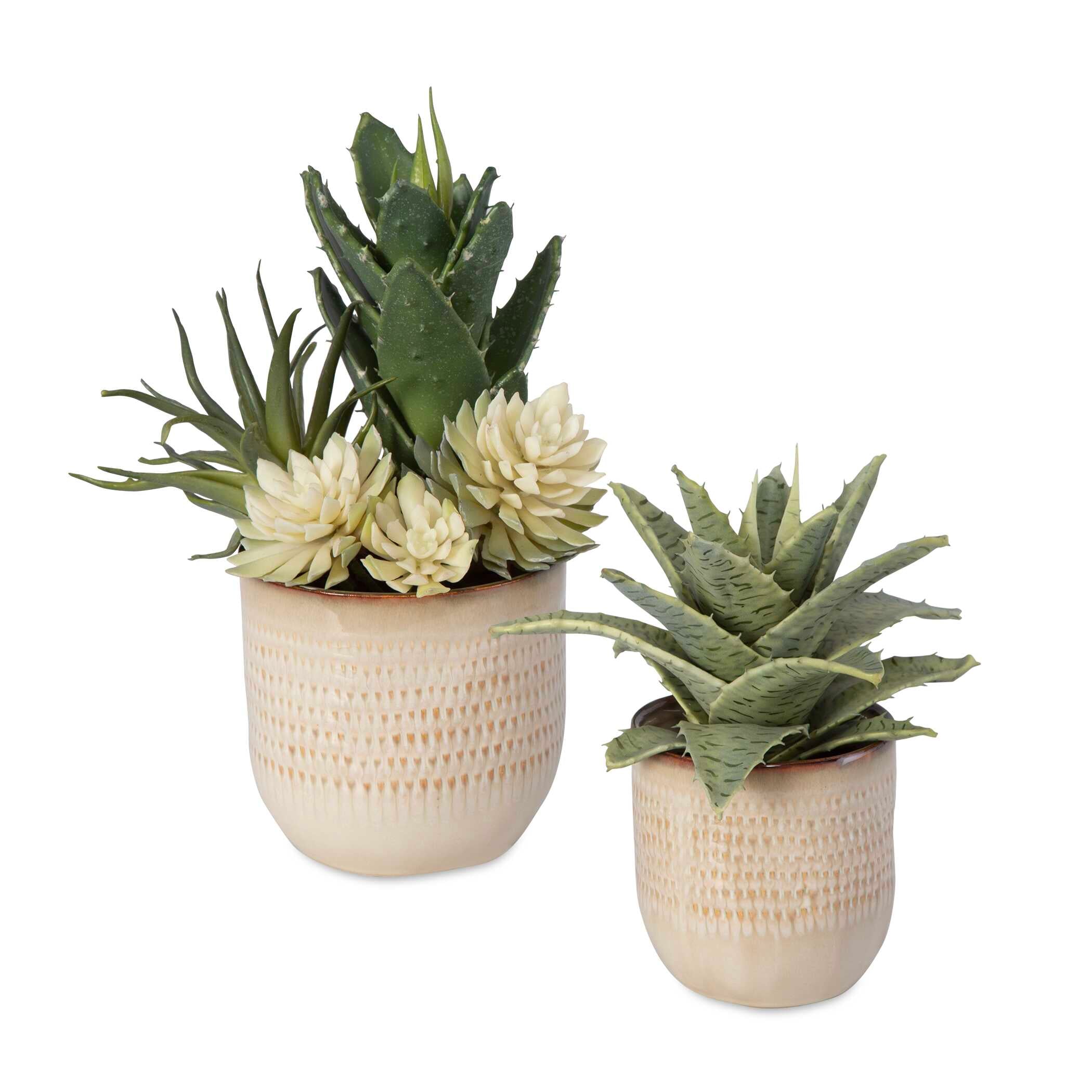 coastal succulents Uttermost Seaside Succulents Set/2