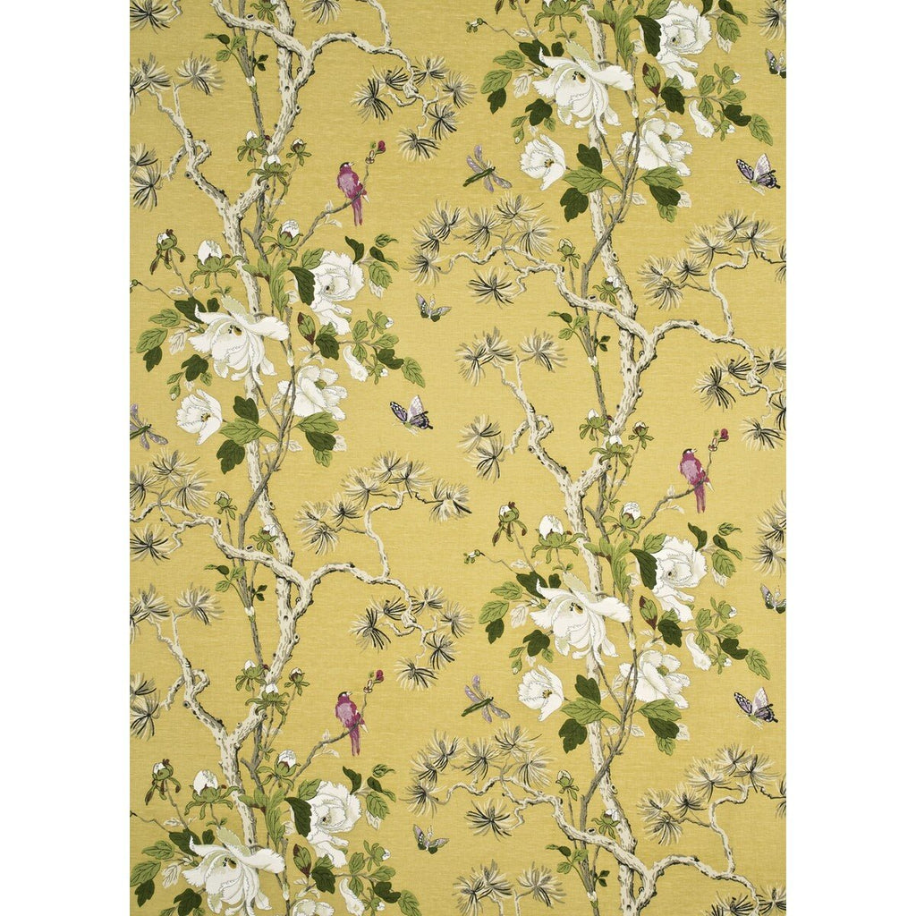 Tree Peony - Strong Yellow/Ivory