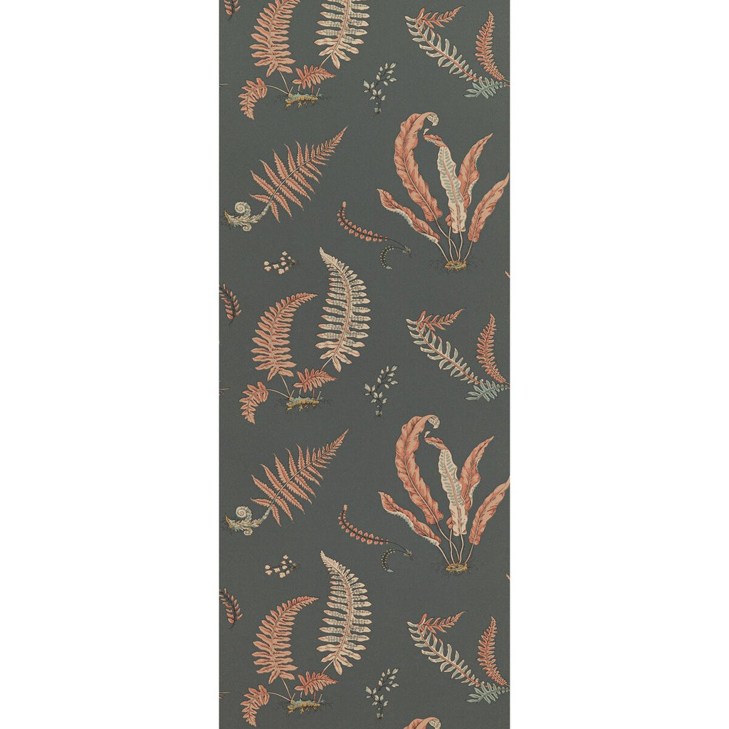 Ferns - Coral/Charcoal