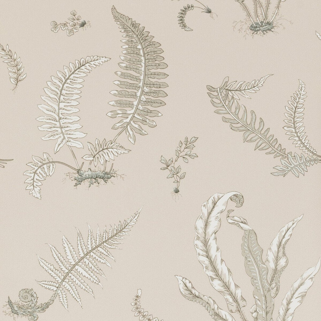 Ferns - Linen