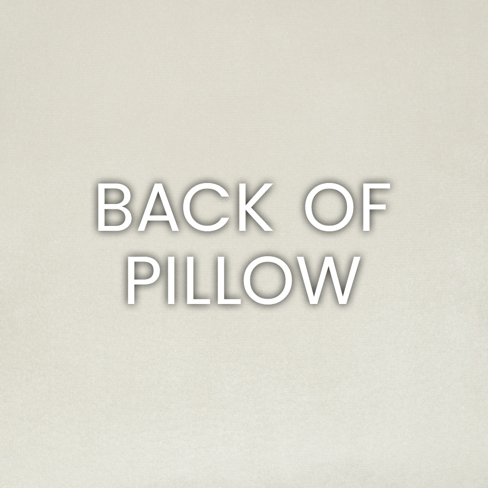 Vamanos Pillow