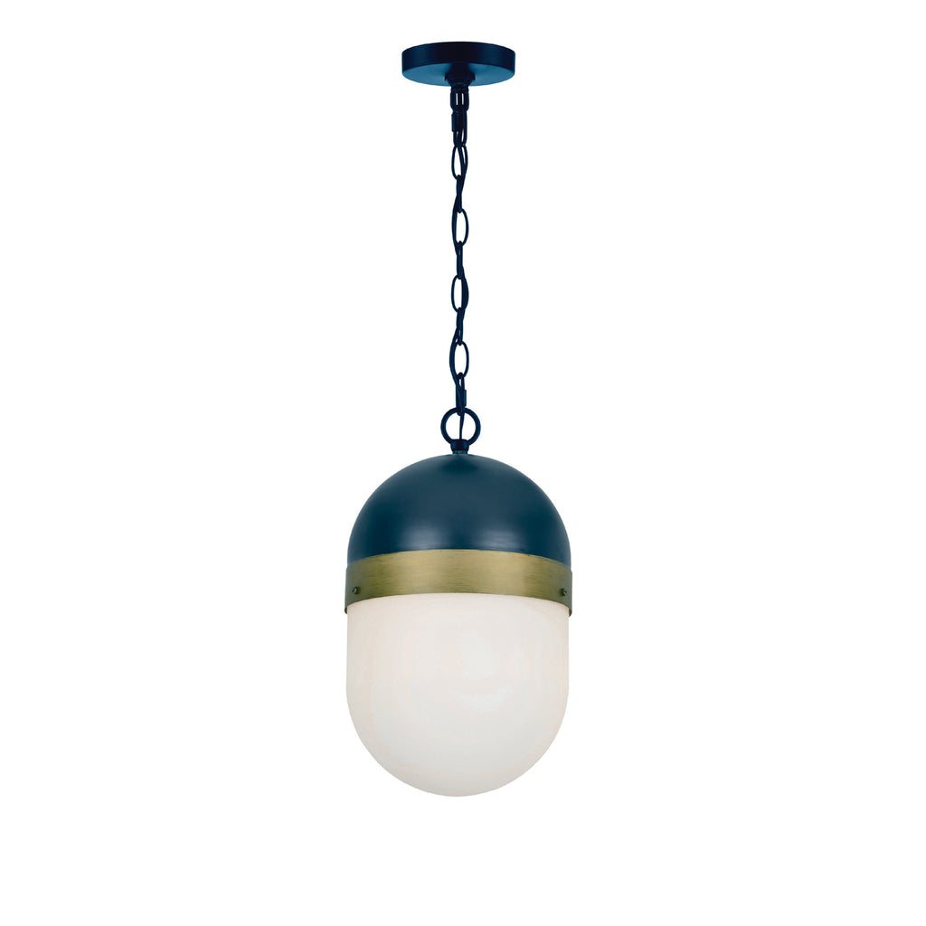 Brian Patrick Flynn Capsule 1 Light Outdoor Pendant