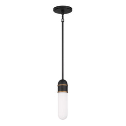 Brian Patrick Flynn Capsule 1 Light Mini Pendant