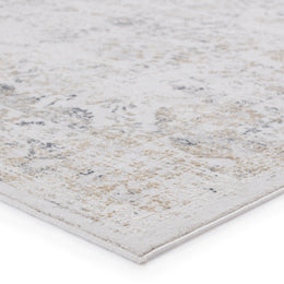 Jaipur Living Vida Abstract Light Gray/ Gold Runner Rug