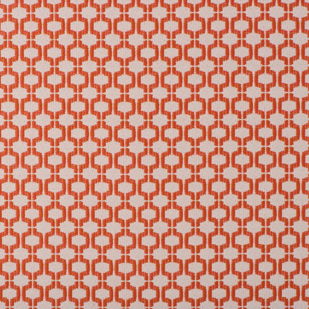 Coraleen-Coral-C-N001175-01110014