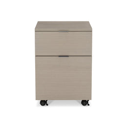 Axiom File Cabinet With 2 Drawers