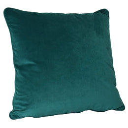 Sonora Plush Velvet 20x20 Square Throw Pillow, Emerald Green