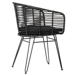 Serenity Indoor-Outdoor Black Synthetic Rattan and Iron Chair with Cushion, Set of 2