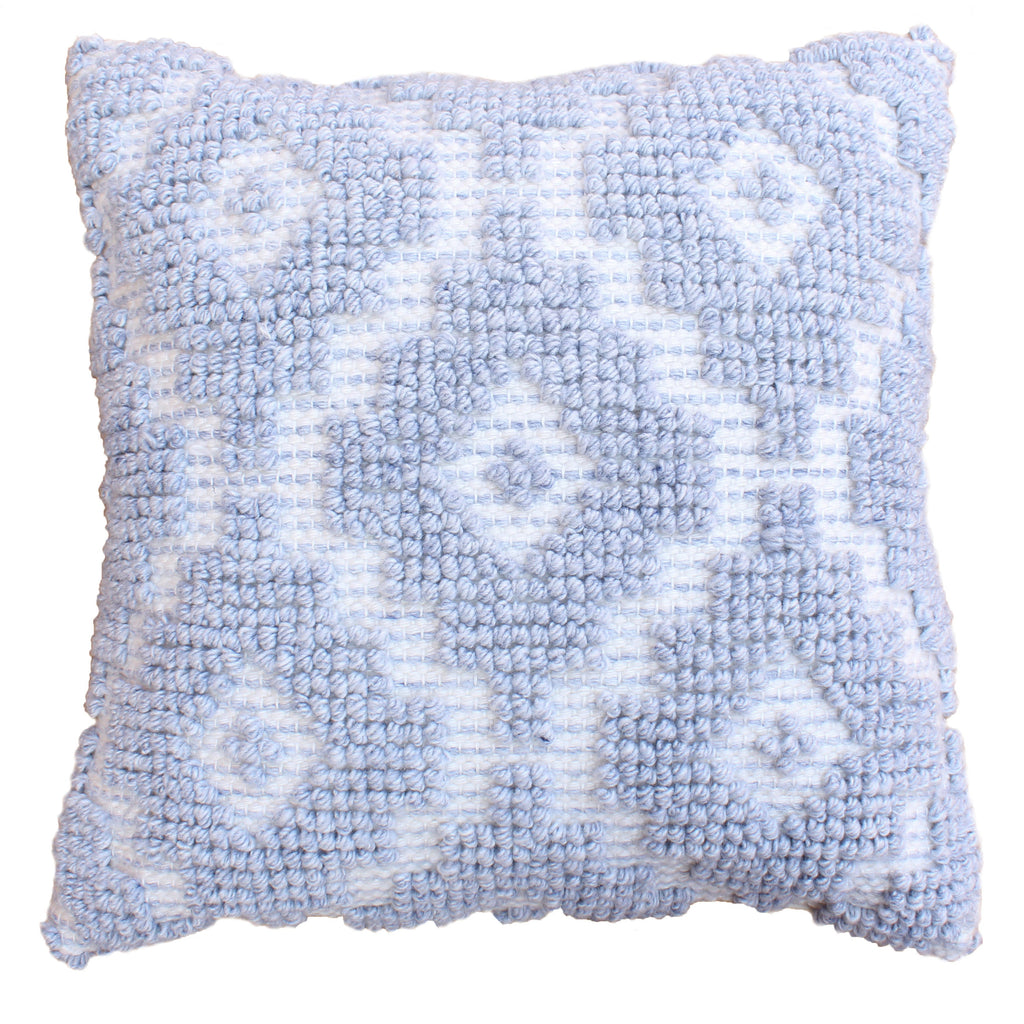 Vicente Hand Woven Polyethylene Terephthalate 20x20 Square Throw Pillow, Light Blue