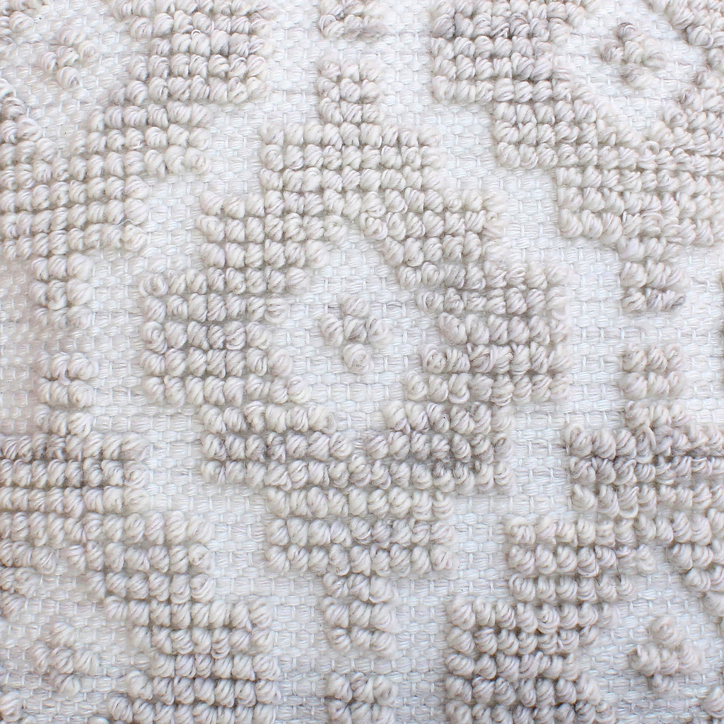 Vicente Hand Woven Polyethylene Terephthalate 20x20 Square Throw Pillow, Light Grey