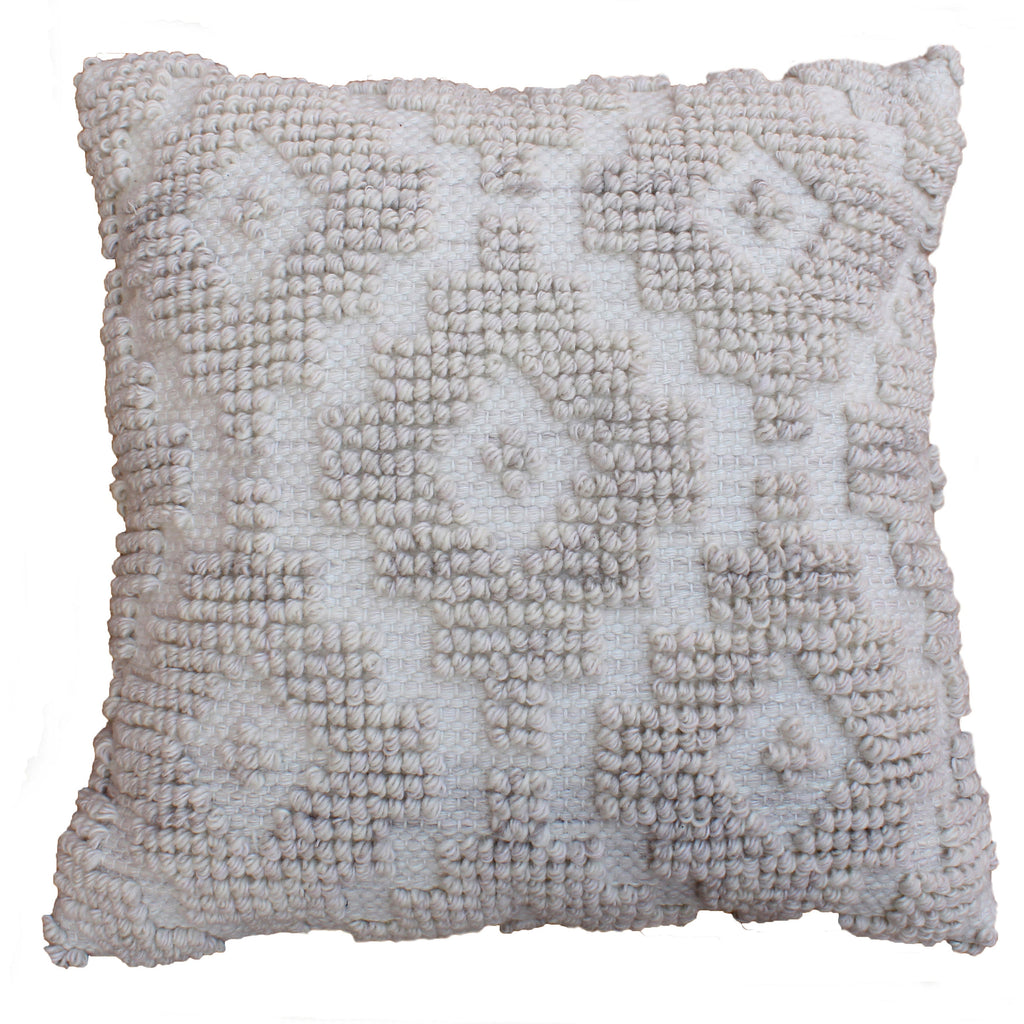 Vicente Hand Woven Polyethylene Terephthalate 20x20 Square Throw Pillow, Light Grey