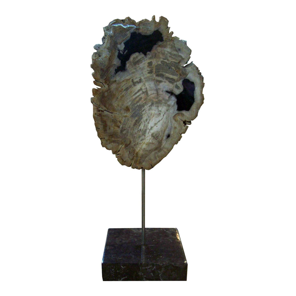 Petrified Wood Sculpture